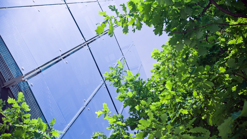 Reducing Your Business Carbon Footprint