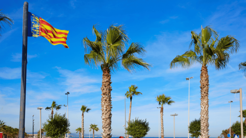 Palm-lined promenade in Valencia with the Valencian Community flag against a clear blue Mediterranean sky.