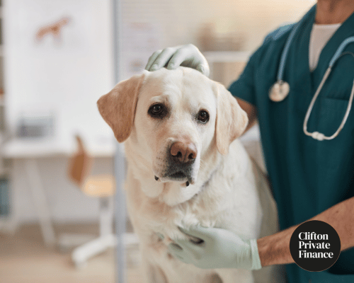 Unsecured Business Loan for an Independent Veterinary Clinic | Case Study